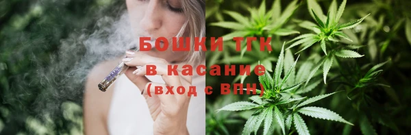 ГАЛЛЮЦИНОГЕННЫЕ ГРИБЫ Белокуриха