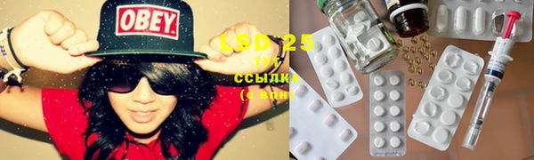 ГАЛЛЮЦИНОГЕННЫЕ ГРИБЫ Белокуриха