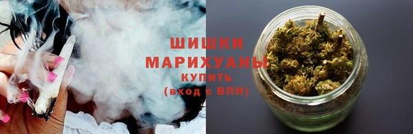 ГАЛЛЮЦИНОГЕННЫЕ ГРИБЫ Белокуриха