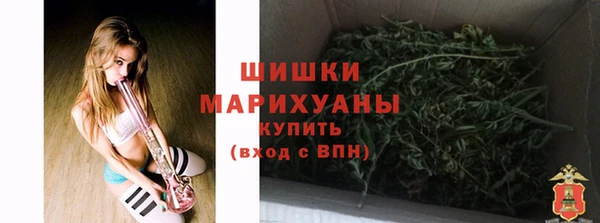 ГАЛЛЮЦИНОГЕННЫЕ ГРИБЫ Белокуриха