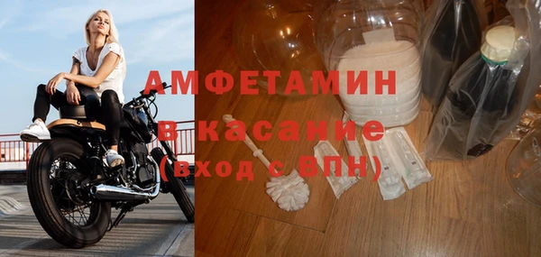 ГАЛЛЮЦИНОГЕННЫЕ ГРИБЫ Белокуриха