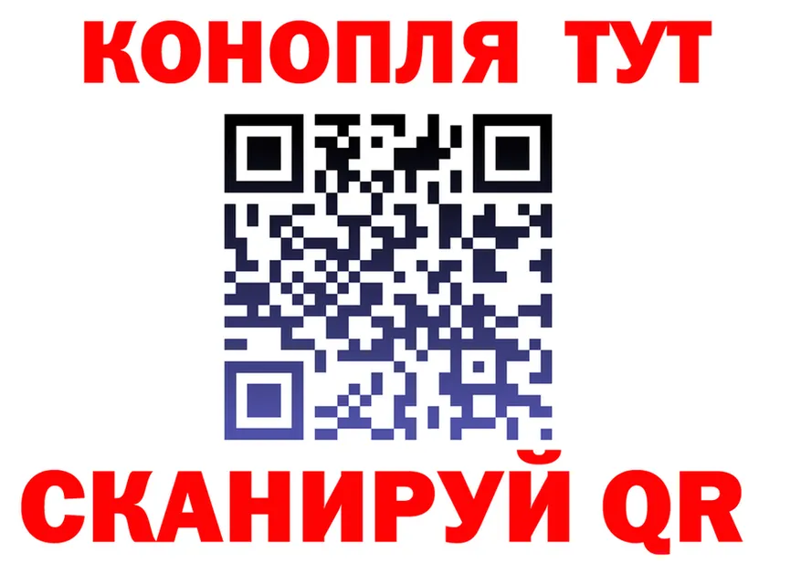 COCAIN Fish Scale вход площадка MEGA Суворов