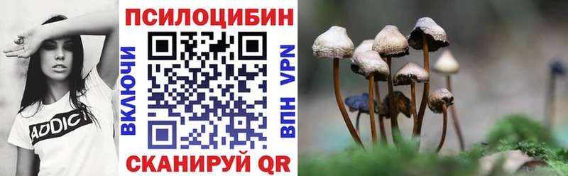 Галлюциногенные грибы мицелий  Купить где  Суворов 